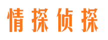 长安市场调查